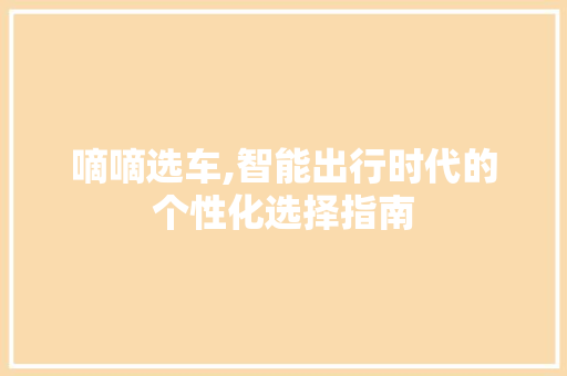嘀嘀选车,智能出行时代的个性化选择指南