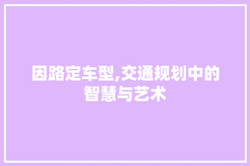 因路定车型,交通规划中的智慧与艺术 新款车型