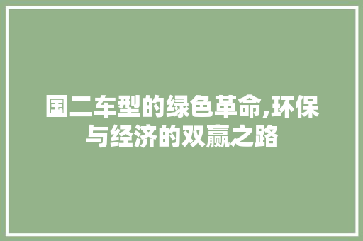 国二车型的绿色革命,环保与经济的双赢之路