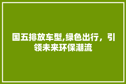 国五排放车型,绿色出行，引领未来环保潮流