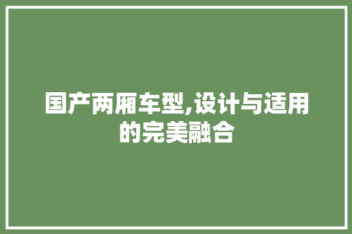 国产两厢车型,设计与适用的完美融合