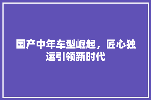 国产中年车型崛起，匠心独运引领新时代