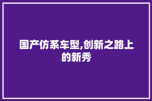 国产仿系车型,创新之路上的新秀 新款车型