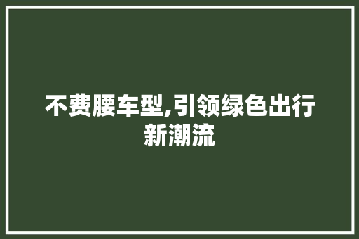 不费腰车型,引领绿色出行新潮流