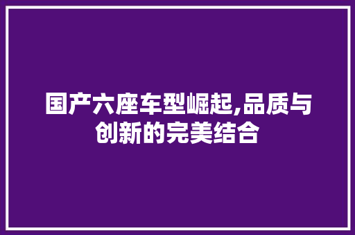 国产六座车型崛起,品质与创新的完美结合