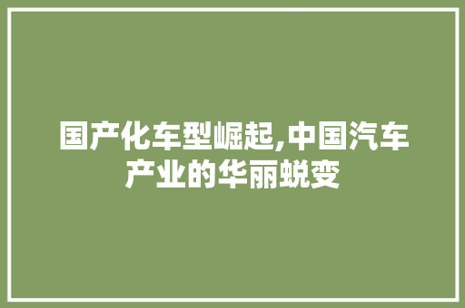 国产化车型崛起,中国汽车产业的华丽蜕变 车身配件