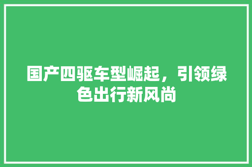 国产四驱车型崛起，引领绿色出行新风尚