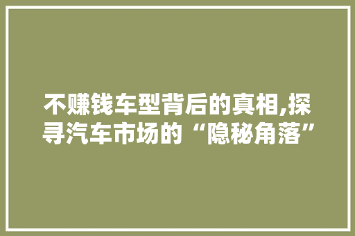 不赚钱车型背后的真相,探寻汽车市场的“隐秘角落” 新款车型