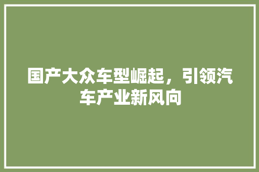 国产大众车型崛起，引领汽车产业新风向