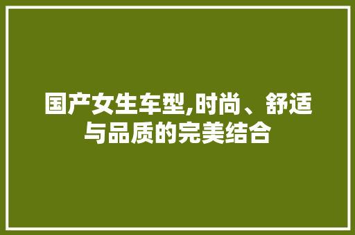 国产女生车型,时尚、舒适与品质的完美结合