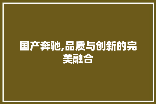 国产奔驰,品质与创新的完美融合