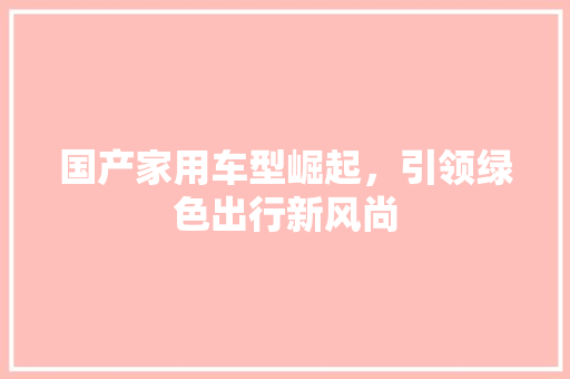 国产家用车型崛起，引领绿色出行新风尚