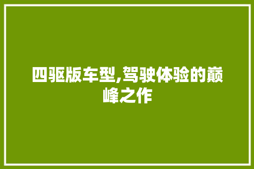 四驱版车型,驾驶体验的巅峰之作
