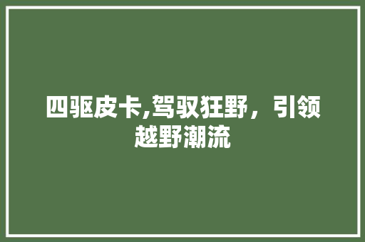四驱皮卡,驾驭狂野，引领越野潮流