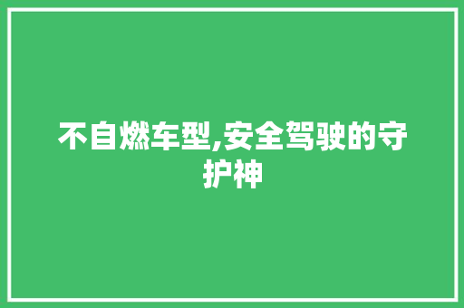 不自燃车型,安全驾驶的守护神