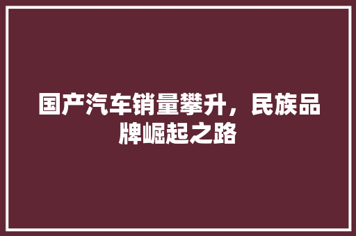 国产汽车销量攀升，民族品牌崛起之路
