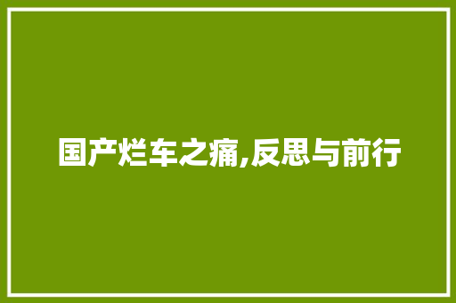 国产烂车之痛,反思与前行