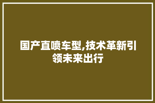 国产直喷车型,技术革新引领未来出行