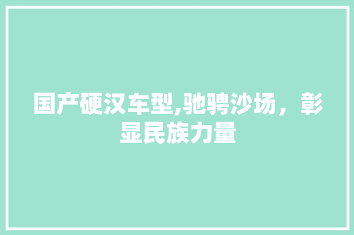 国产硬汉车型,驰骋沙场，彰显民族力量