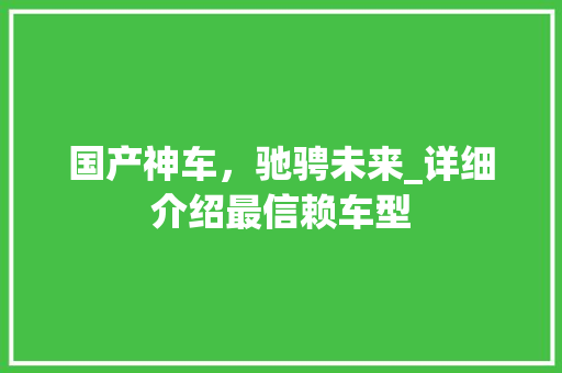 国产神车，驰骋未来_详细介绍最信赖车型