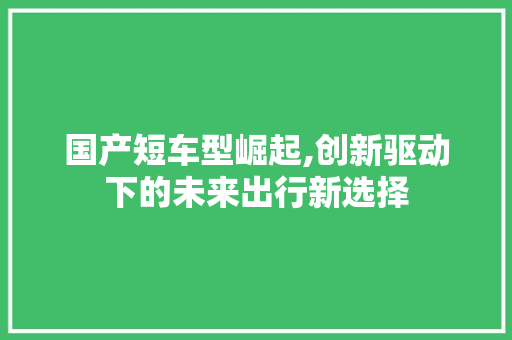 国产短车型崛起,创新驱动下的未来出行新选择