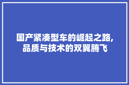 国产紧凑型车的崛起之路,品质与技术的双翼腾飞
