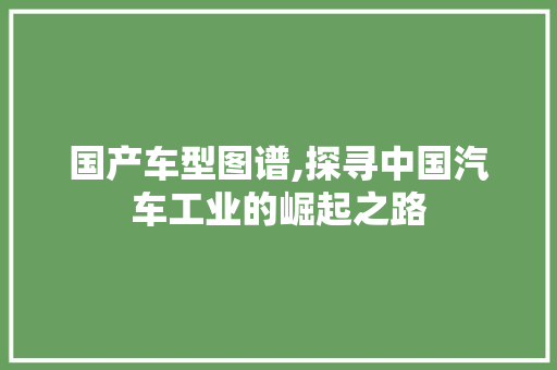 国产车型图谱,探寻中国汽车工业的崛起之路