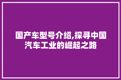 国产车型号介绍,探寻中国汽车工业的崛起之路