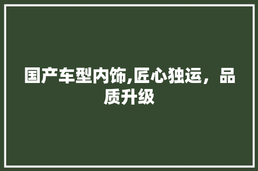 国产车型内饰,匠心独运，品质升级