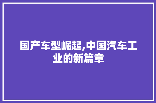 国产车型崛起,中国汽车工业的新篇章