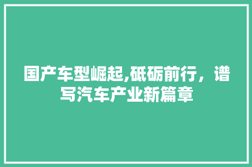 国产车型崛起,砥砺前行，谱写汽车产业新篇章