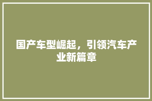 国产车型崛起，引领汽车产业新篇章
