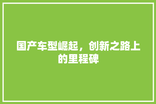 国产车型崛起，创新之路上的里程碑