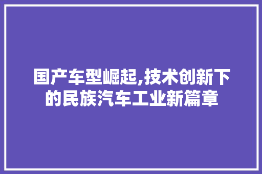 国产车型崛起,技术创新下的民族汽车工业新篇章