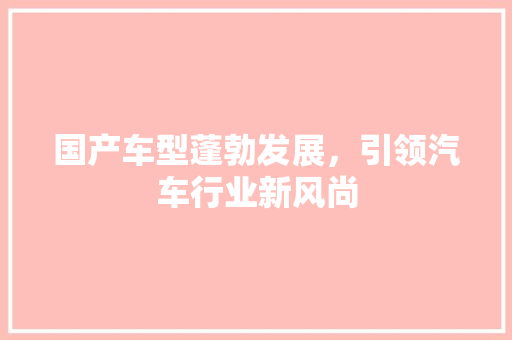 国产车型蓬勃发展，引领汽车行业新风尚