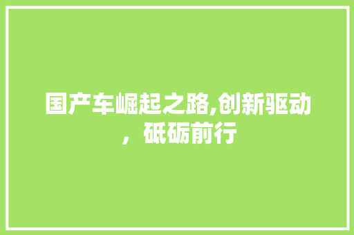 国产车崛起之路,创新驱动，砥砺前行