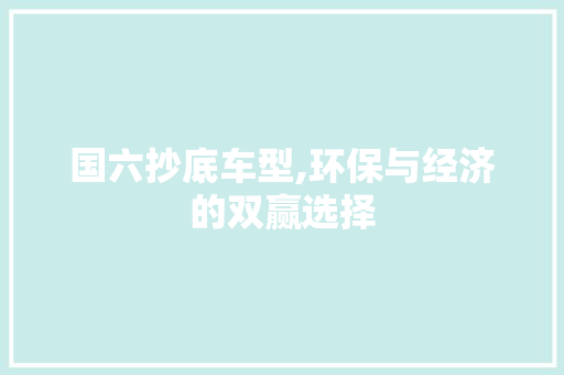 国六抄底车型,环保与经济的双赢选择