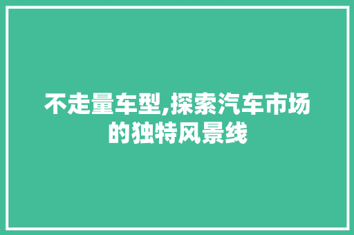 不走量车型,探索汽车市场的独特风景线