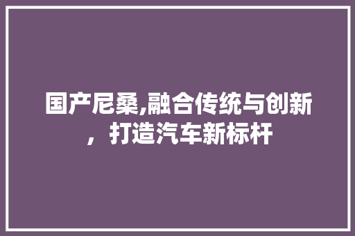 国产尼桑,融合传统与创新，打造汽车新标杆