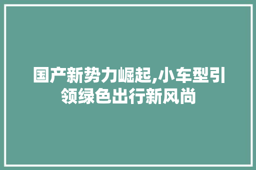 国产新势力崛起,小车型引领绿色出行新风尚 汽车配件