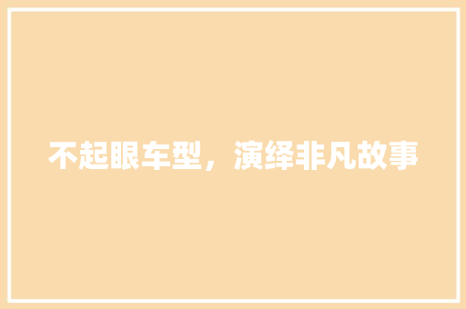 不起眼车型，演绎非凡故事 车灯配件