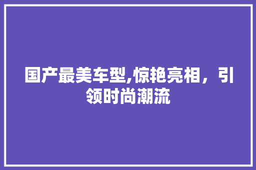 国产最美车型,惊艳亮相，引领时尚潮流