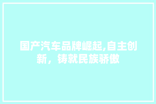 国产汽车品牌崛起,自主创新，铸就民族骄傲