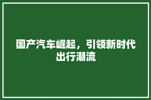 国产汽车崛起，引领新时代出行潮流