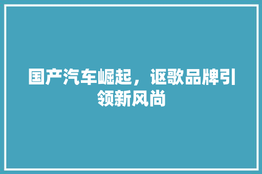 国产汽车崛起，讴歌品牌引领新风尚