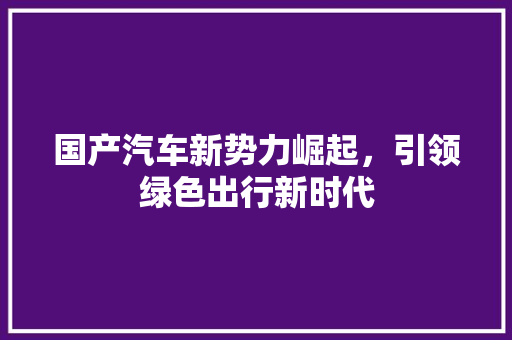 国产汽车新势力崛起，引领绿色出行新时代