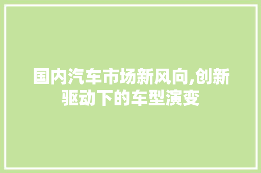 国内汽车市场新风向,创新驱动下的车型演变