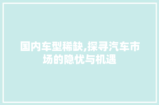 国内车型稀缺,探寻汽车市场的隐忧与机遇