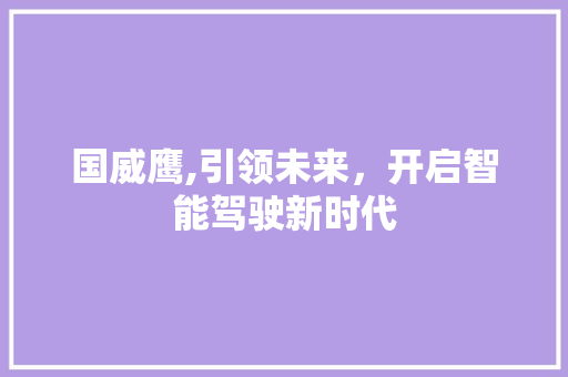 国威鹰,引领未来，开启智能驾驶新时代