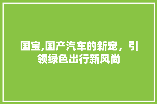 国宝,国产汽车的新宠，引领绿色出行新风尚